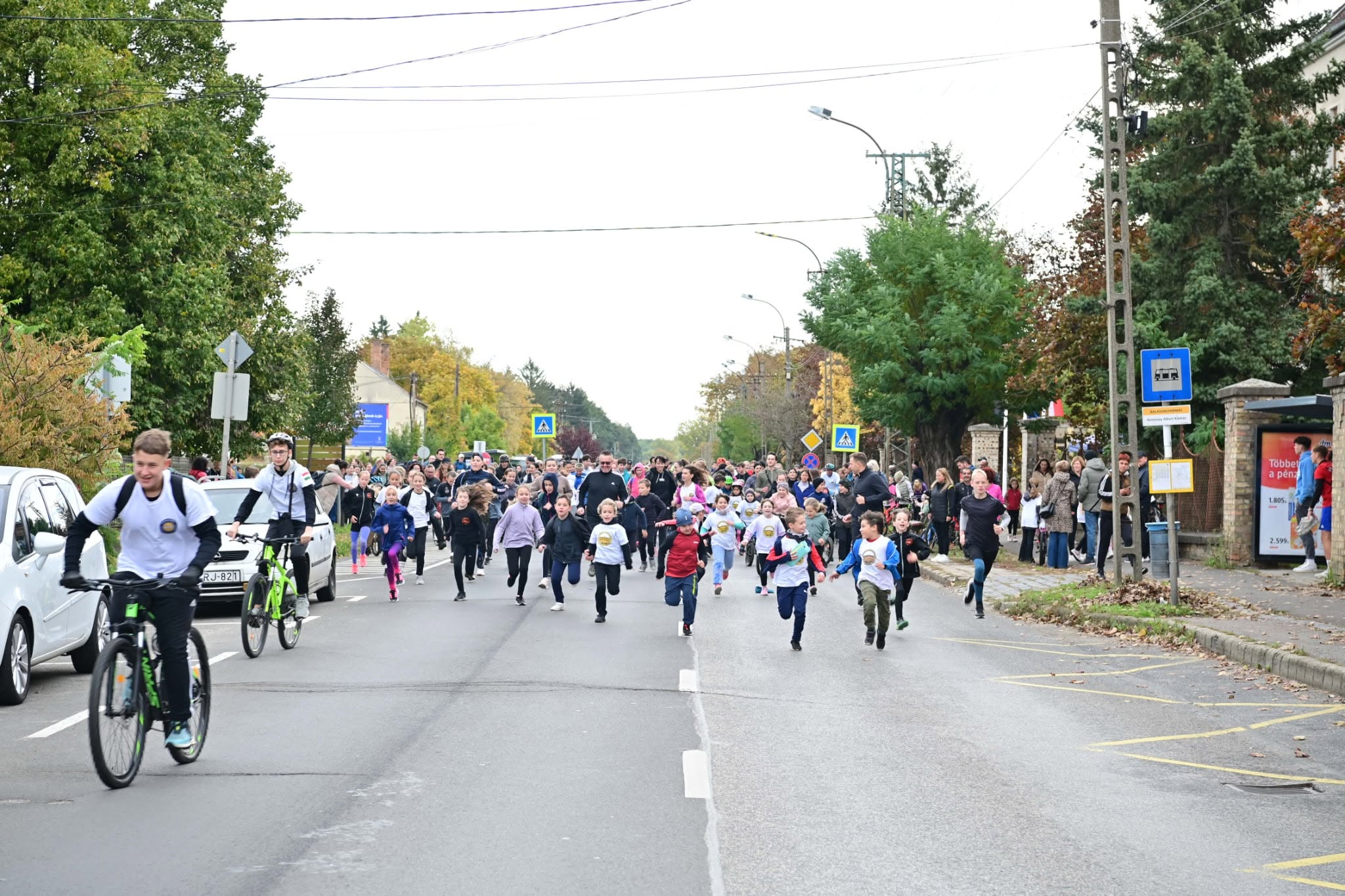 A Mozdulj, Gyarmat! résztvevői
